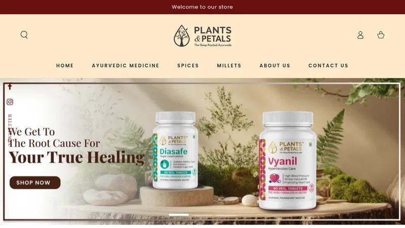Plants & Petals | Website Transformation