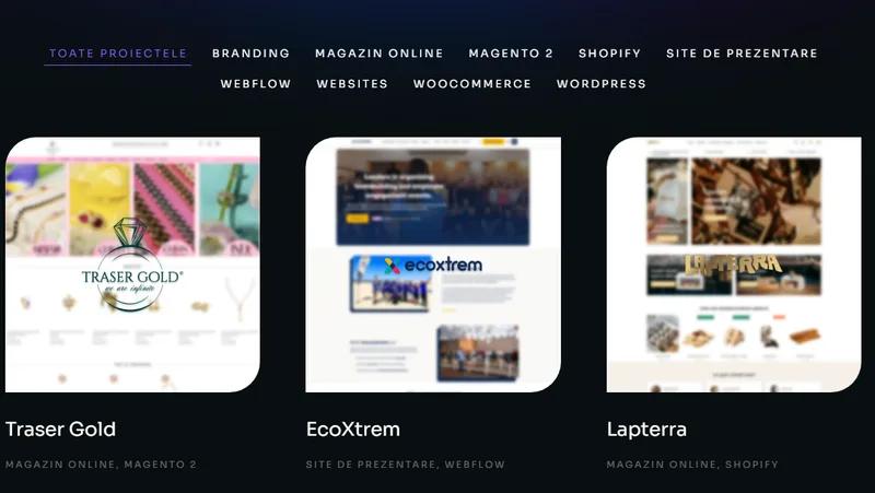 Portfolio