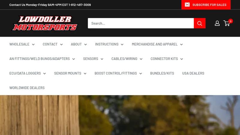 Lowdoller Motorsports