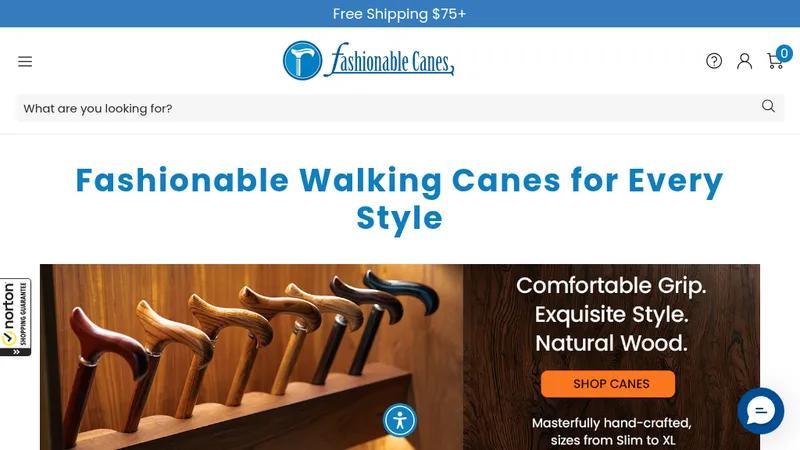 FashionableCanes: SEO Triumph & 350% ROI Boost
