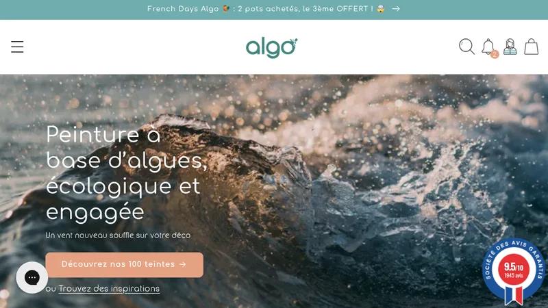 Peinture Algo : un site moderne, épuré, ultra design et performant.