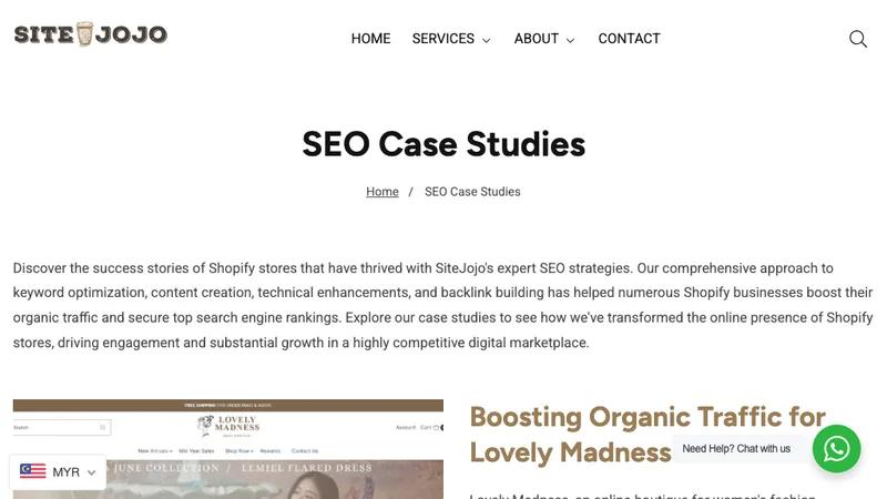 SEO Success Case Studies