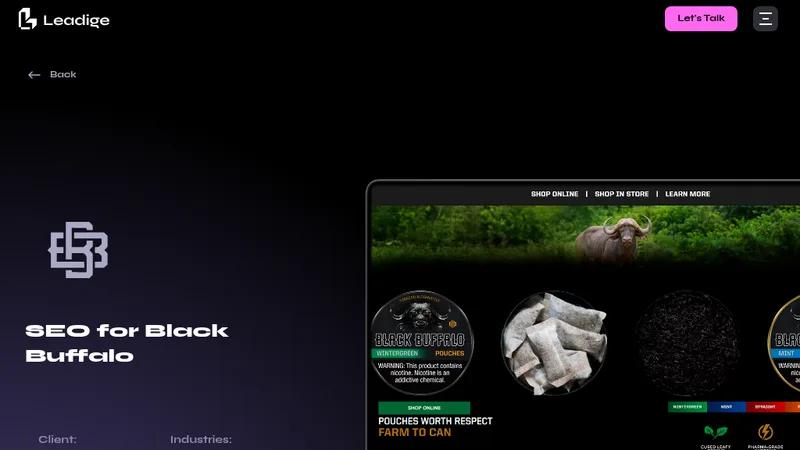 How We Increased Organic Traffic by 350% in 3 Years: Black Buffalo Cas