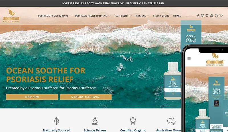 Ecommerce Site Strategy, Design, Development plus Online Marketing