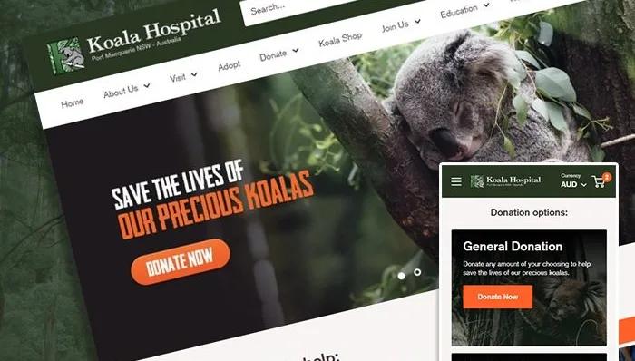 Koala Hospital