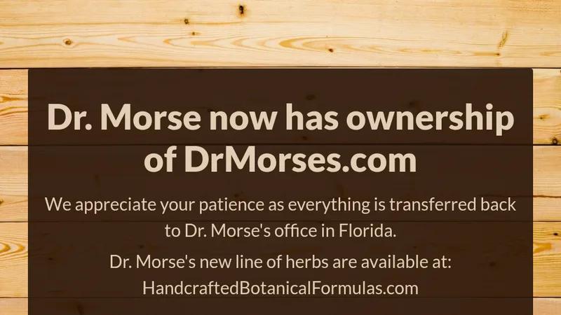 Speed & User Experience Optimization - Dr. Morse
