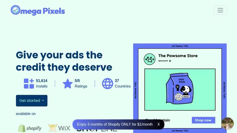 Omega Facebook Pixel Ad Report