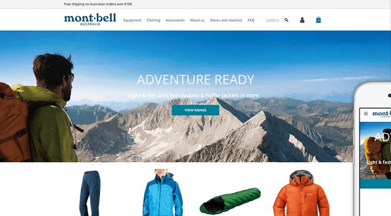 Ecommerce Site Strategy, Design, Development plus Online Marketing