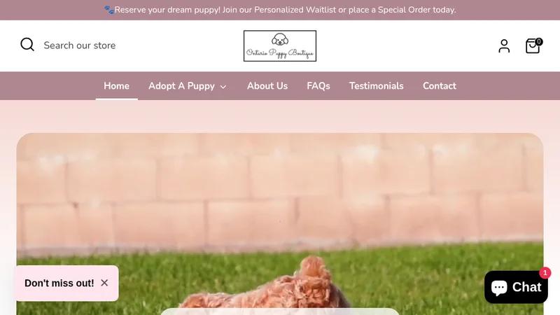 Pets Boutique Store