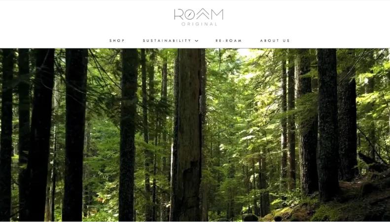 ROAM
