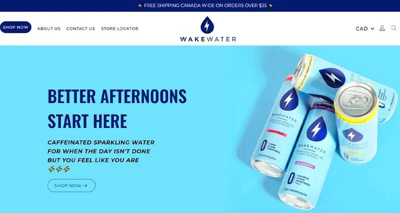 Landing page, Home page, popup entire site building