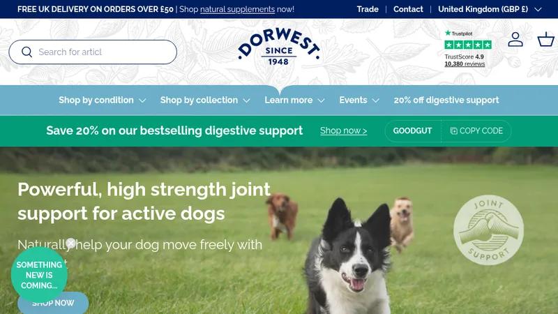 Dorwest