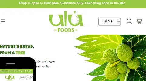 Vegan food brand store design and setup