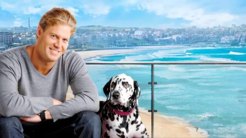 Bondi Vet: 325% Organic Traffic & 120% Revenue Growth