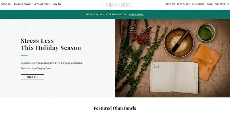 The Ohm Store