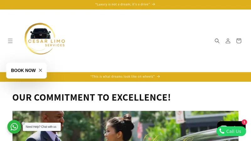 CESAR LIMO SERVICES