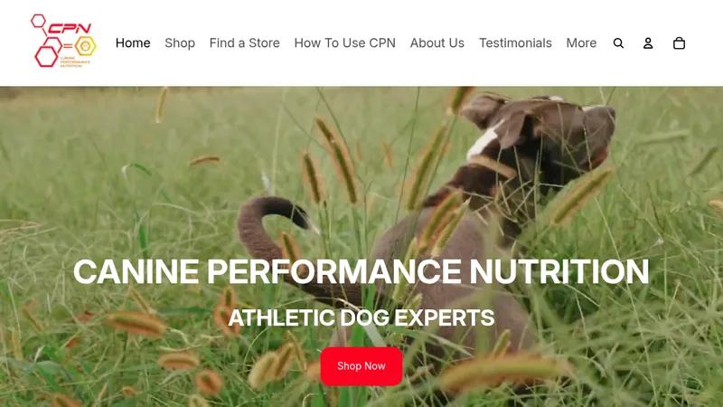 Delivers Outstanding Web Design & Digital Marketing for K9Performance
