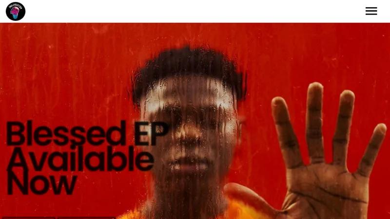 Music Artiste Website
