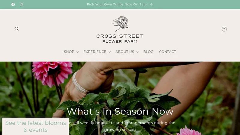 Cross Street Flower Farm