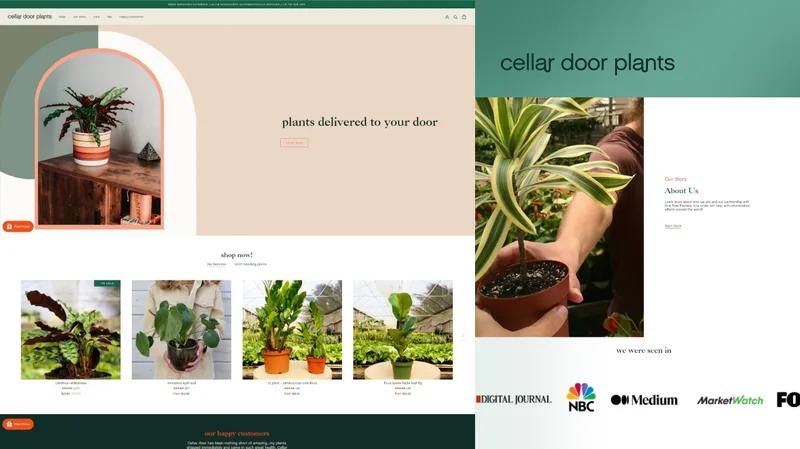Store Build & Design - Cellar Door Plants