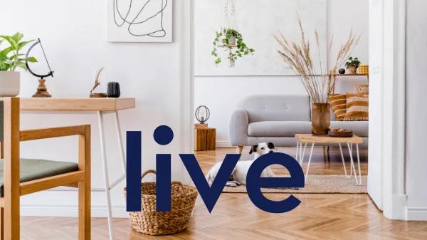 Litt.ie
