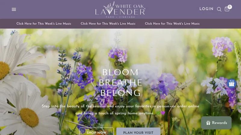 White Oak Lavender Farms