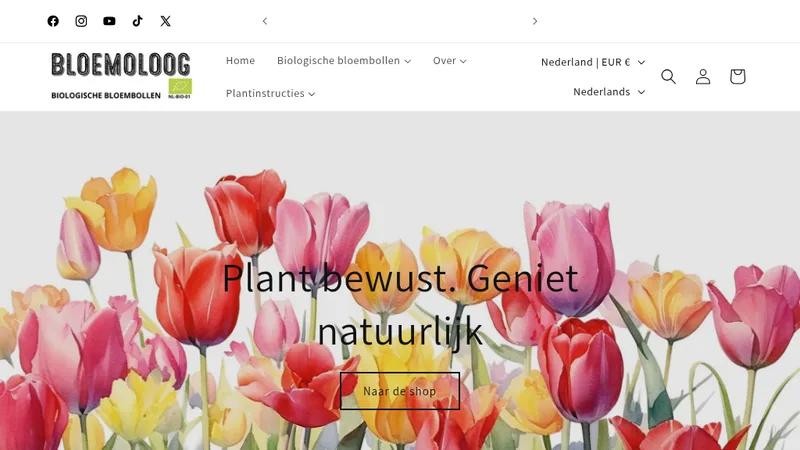 How Bloemoloog Used InterLinks to Enhance Multilingual SEO
