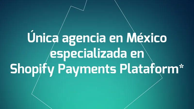 Shopify Payments Platform