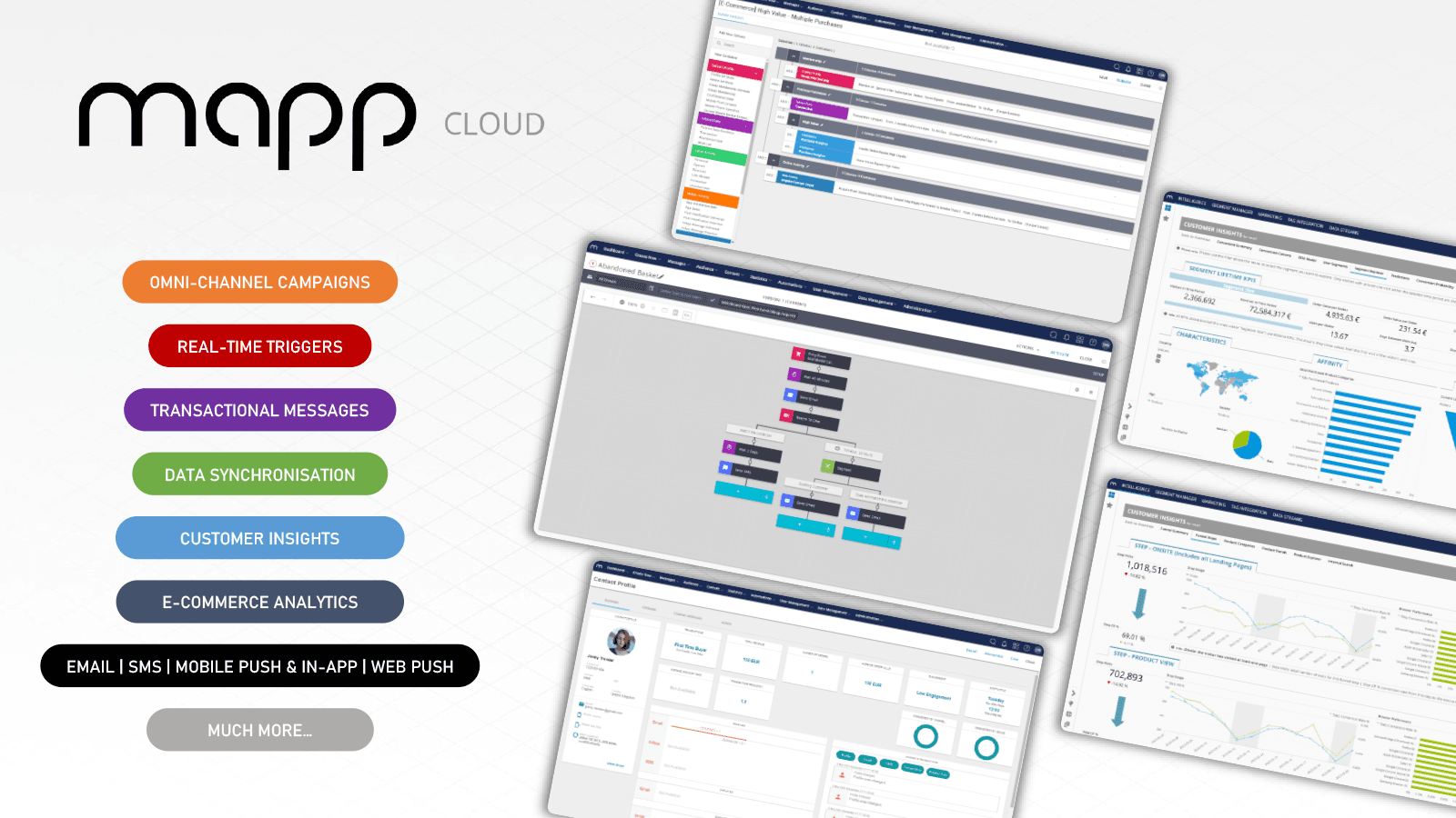 Mapp Cloud screenshot 1