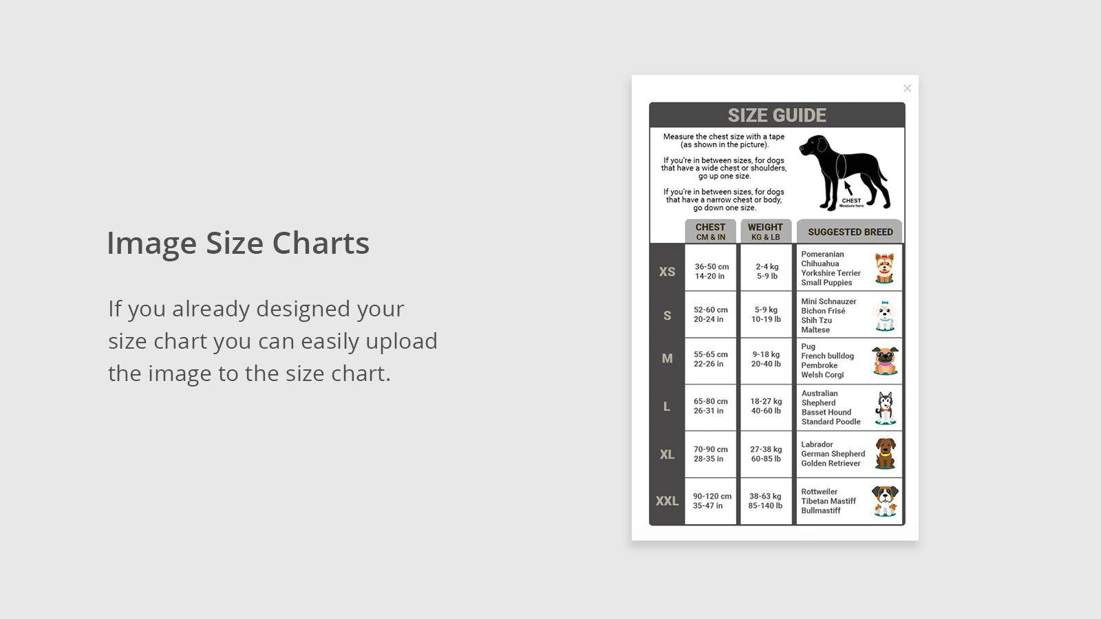 BF Size Chart & Size Guide screenshot 2