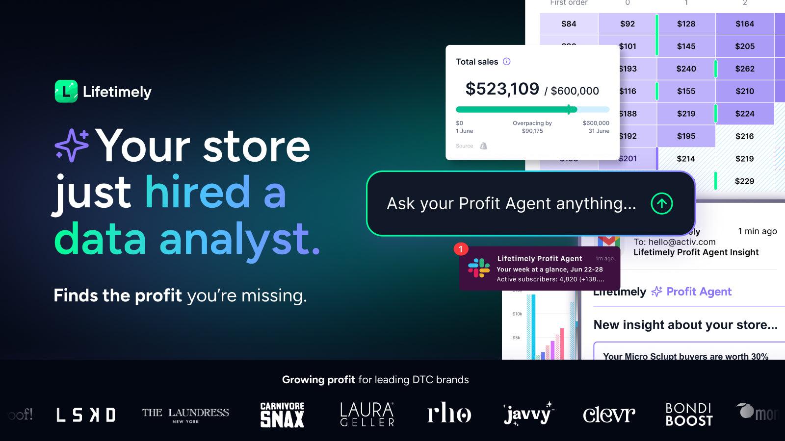 Lifetimely Profit Analytics screenshot 1