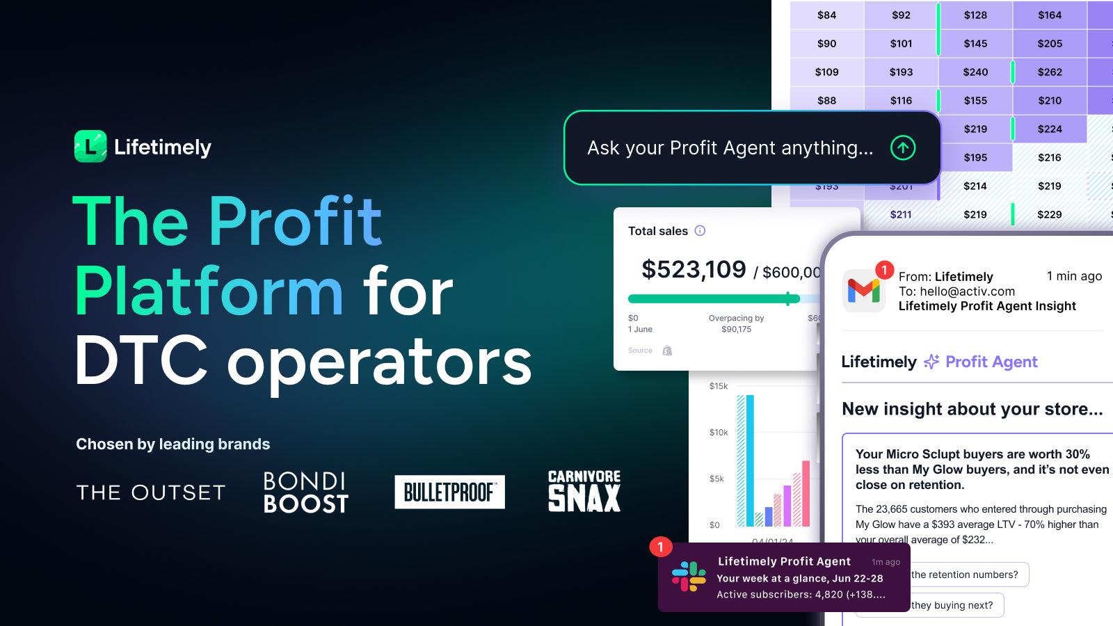 Lifetimely Profit Analytics screenshot 1