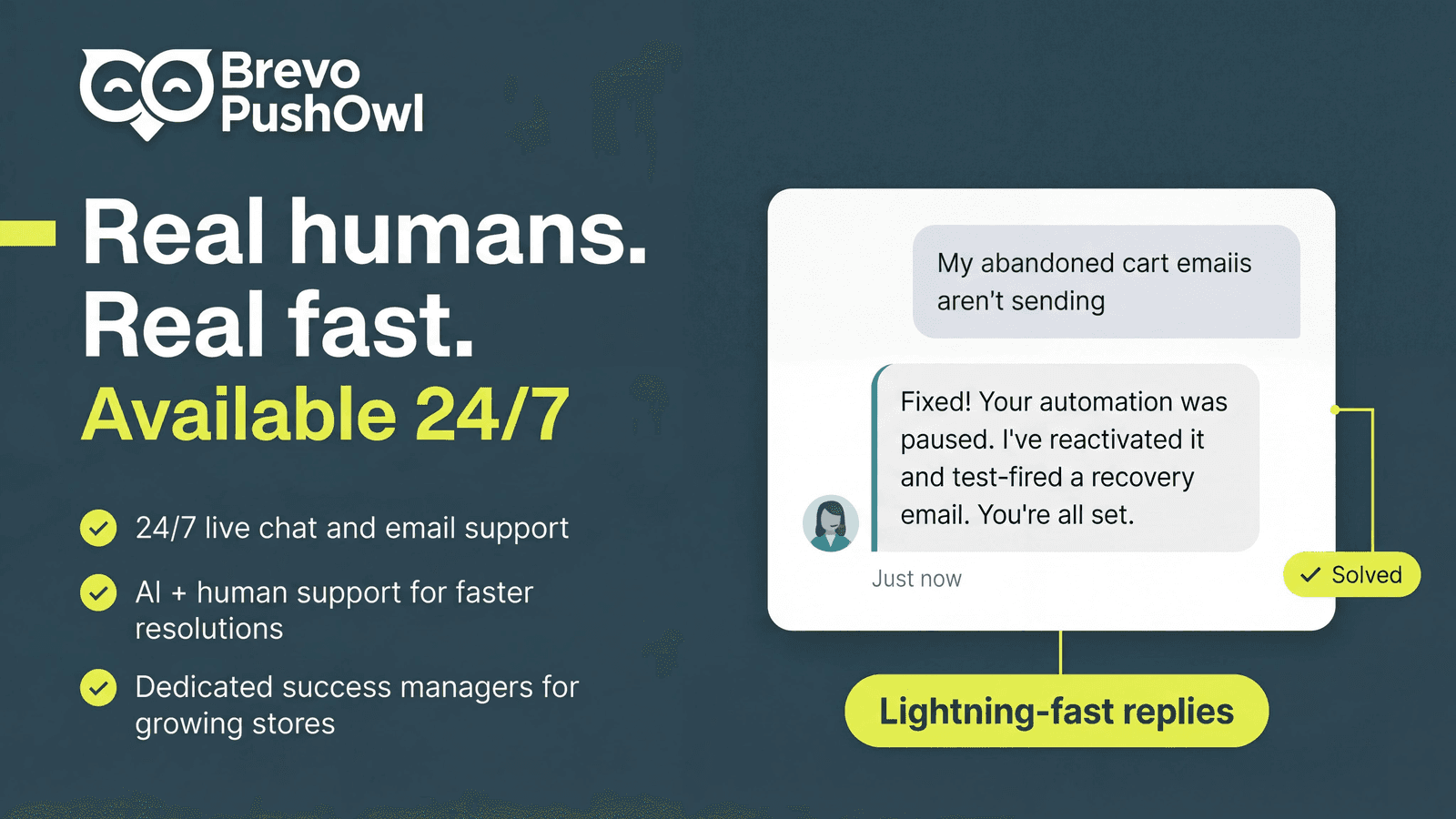 Brevo PushOwl: Email,Push,SMS screenshot 2