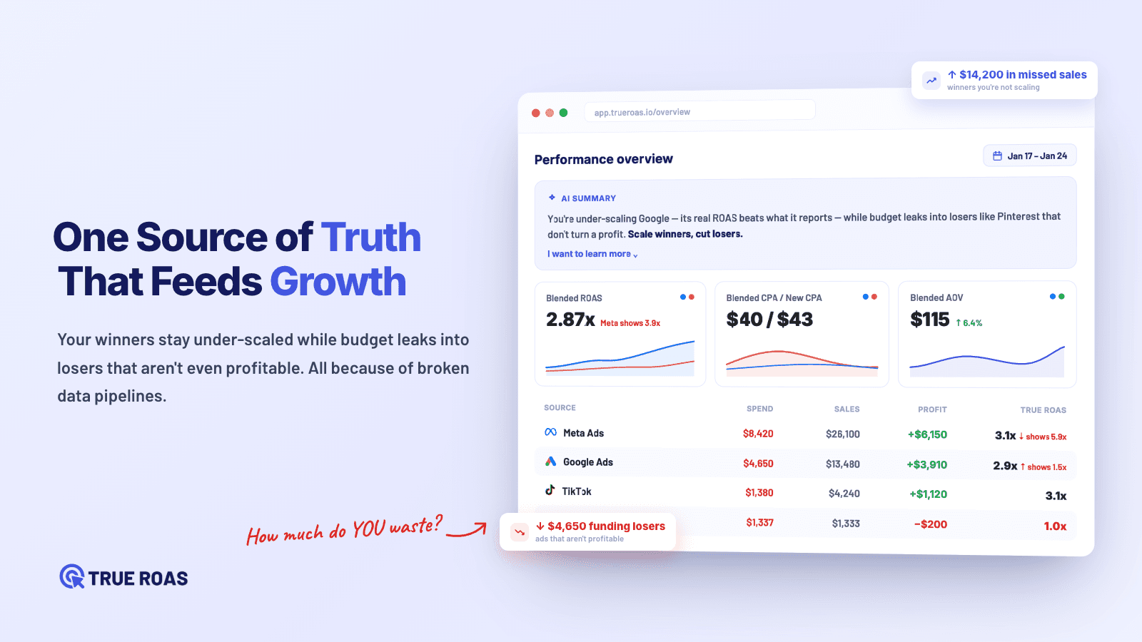 TrueROAS ‑ AI Ad Attribution screenshot 1
